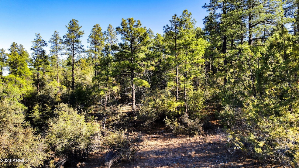 1101 White Spar Rd, Prescott, AZ 86303 - photo 1