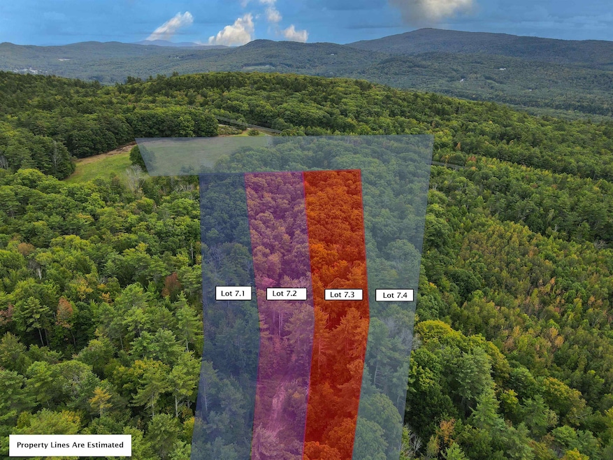 00 Peaked Hill Rd unit 7.1, 7.2, 7.3, 7.4,, Bristol, NH 03222 - photo 1