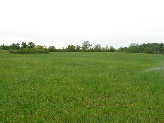 View of Acreage