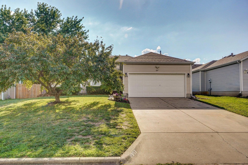 827 S Chinkapin Ave, Nixa, MO 65714 - photo 1