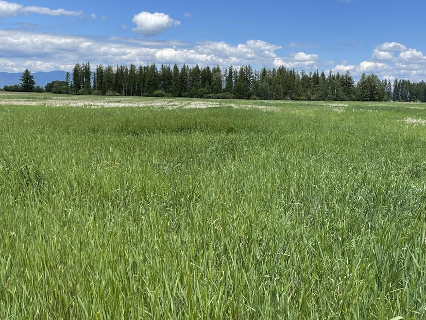 2712 Helena Flats Rd, Kalispell, MT 59901 - photo 1