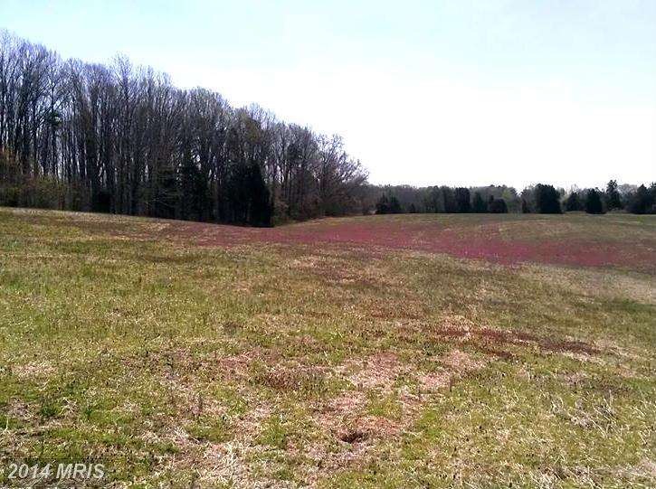 1 Scott Ln, Unknown, VA 00000 - photo 1