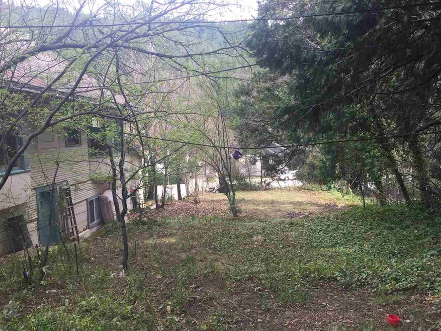 5302 Hazel St, Dunsmuir, CA 96025 - photo 1