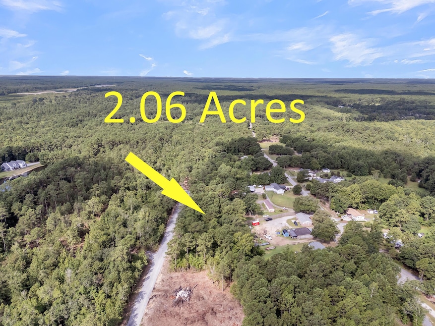 5646 Giddyup Ln, Awendaw, SC 29429 - photo 1