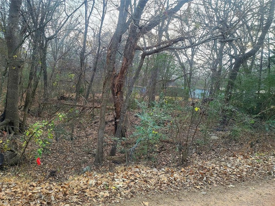 TBD Mapuana Rd, Sadler, TX 76264 - photo 1