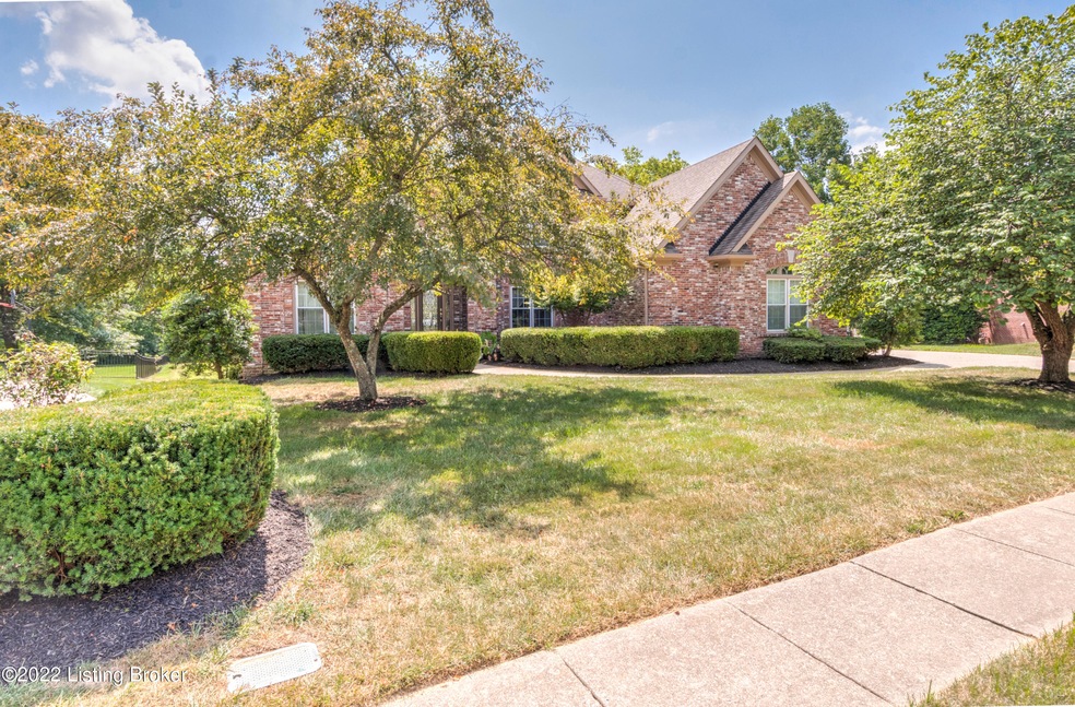 12905DeerRoss-1