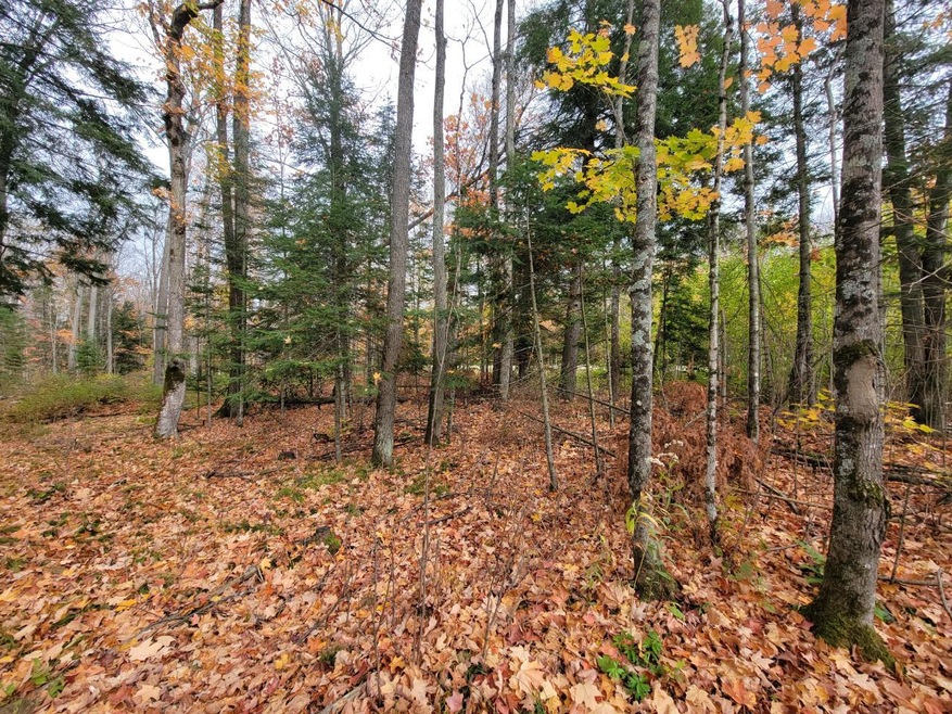 ON Cth A unit Lot 3, Deerbrook, WI 54424 - photo 1