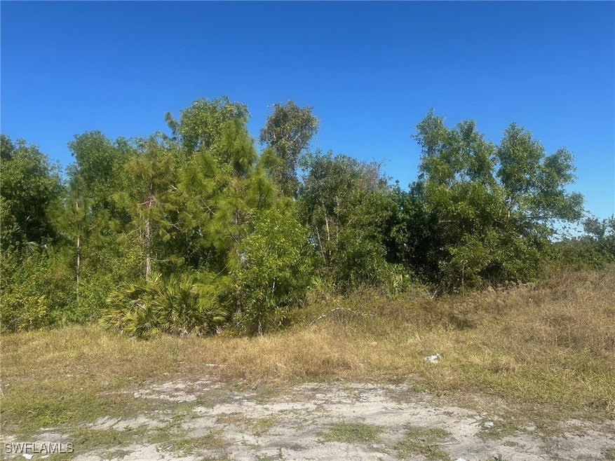 View of Lot