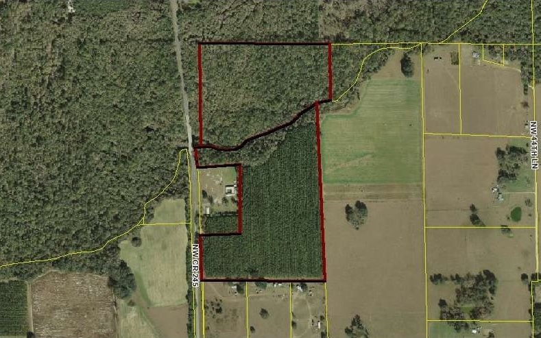TBD NW County Road 245, Lake Butler, FL 32054 - photo 1