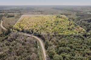 83 Bill Willis Rd, Union, MS 39365 - photo 1