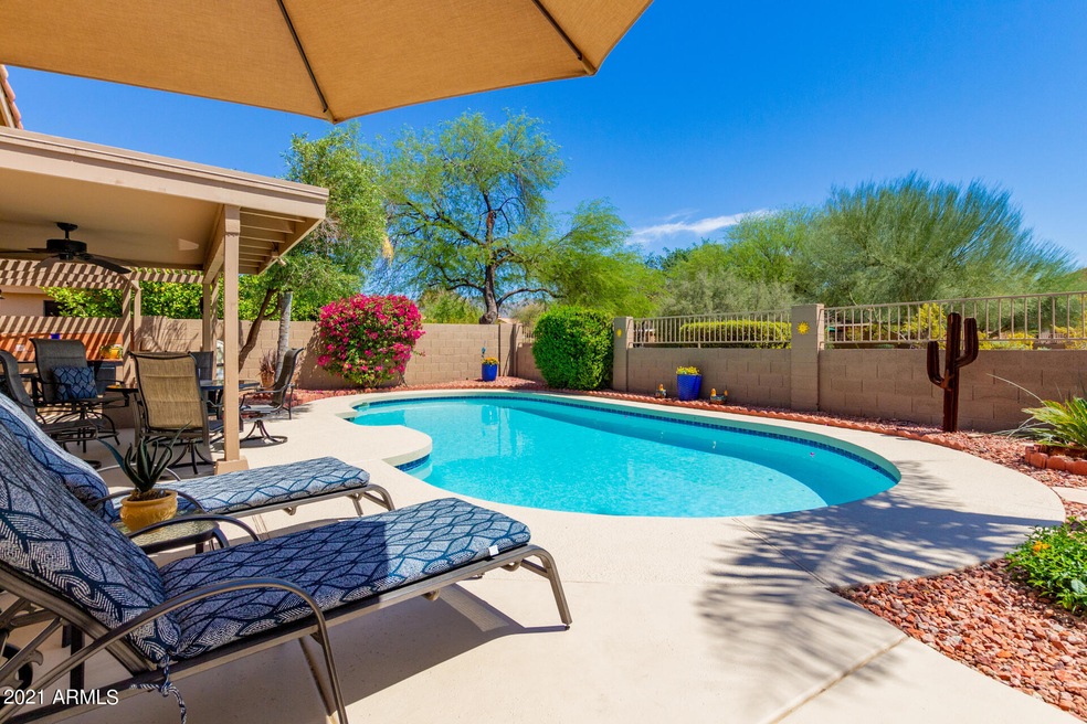 Resort style backyard