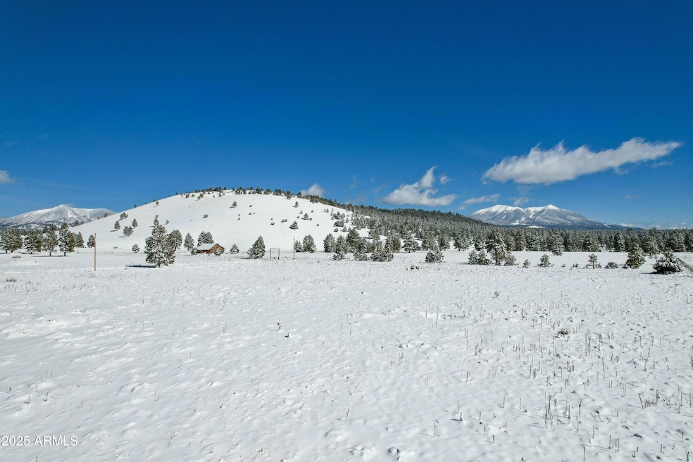 Snowy Views