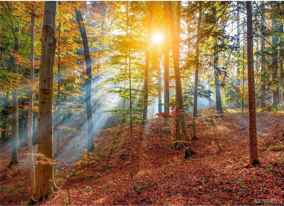 unlisted-address, Midlothian, VA 23114 - photo 1