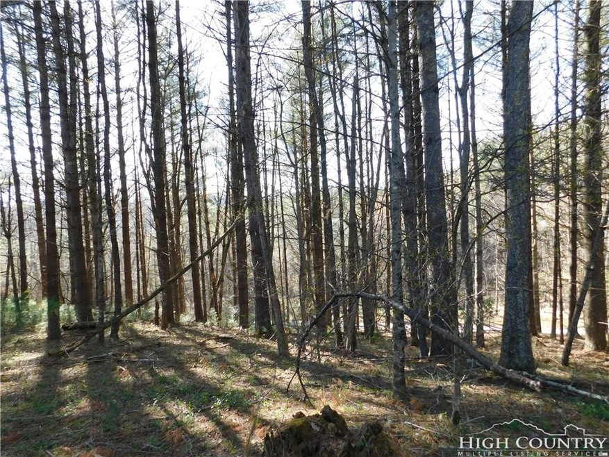 Tract L-12 Panorama Dr, Todd, NC 28684 - photo 1