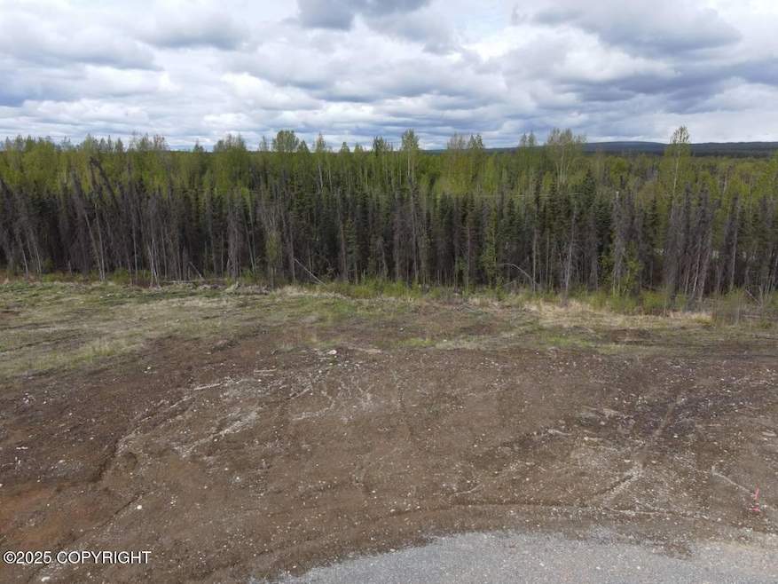 13455 W Excalibur Cir, Houston, AK 99694 - photo 1