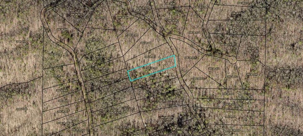 0 Whisenant Mountain Rd unit 411311, Ellijay, GA 30540 - photo 1