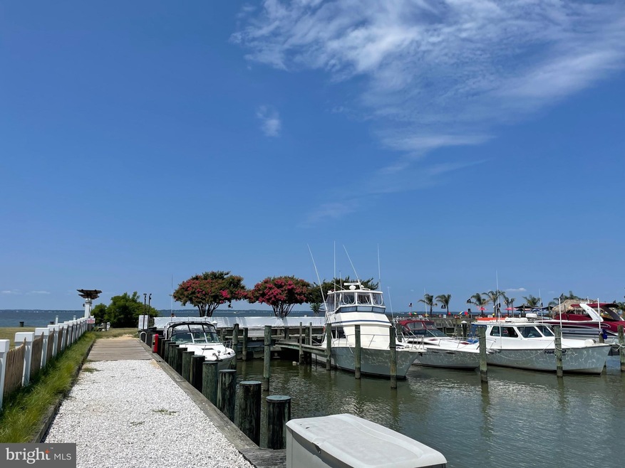 405 Chesapeake Ave, Stevensville, MD 21666 - photo 1