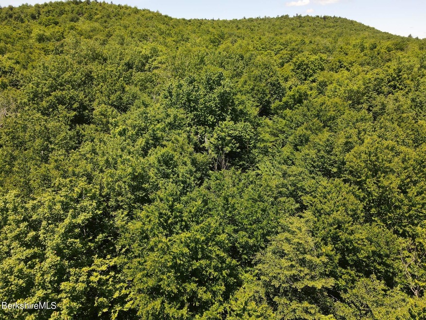 French Hill