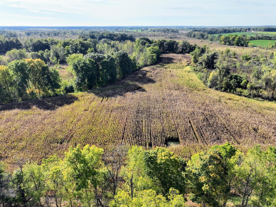 VL Hoffman Street Lot#wp001 St, Vandalia, MI 49095 - photo 1