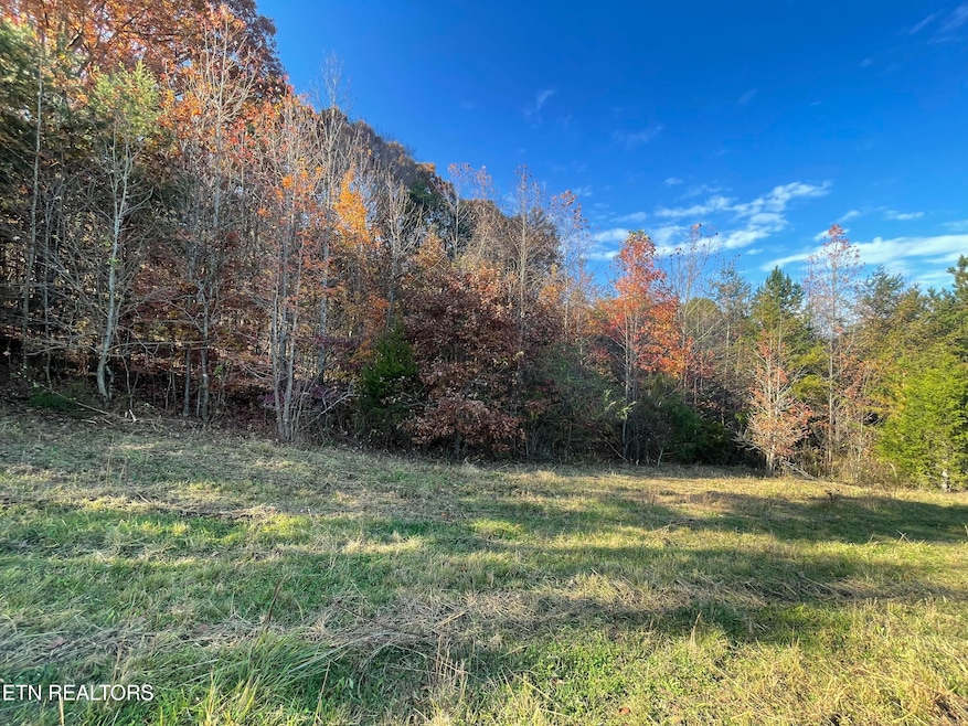 0 Rodgers 30 Acres Rd, Corryton, TN 37721 - photo 1