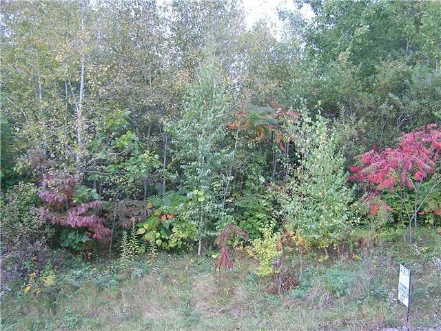 17 Diana Ridge, Highland, NY 12528 - photo 1