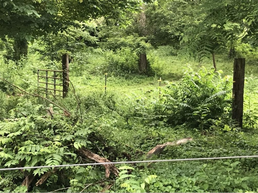 LOT 1 Blake Rd, Greeneville, TN 37743 - photo 1