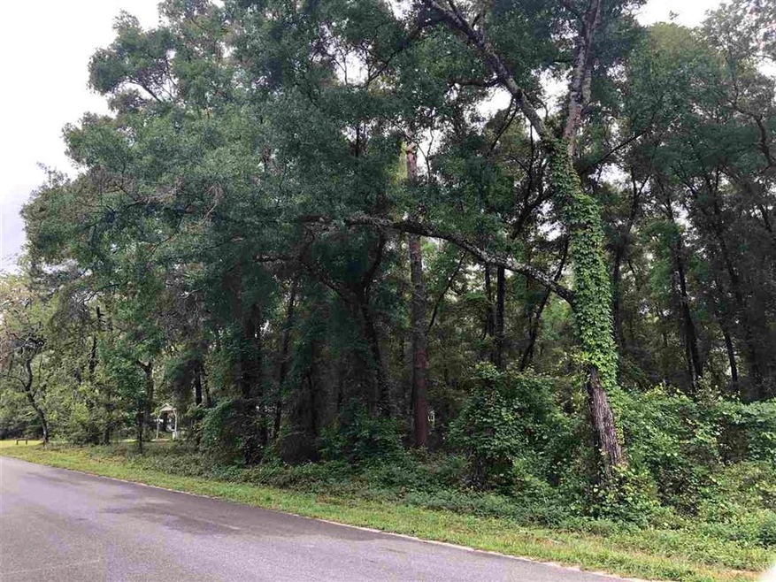 xx Purify Bay Rd, Crawfordville, FL 32327 - photo 1