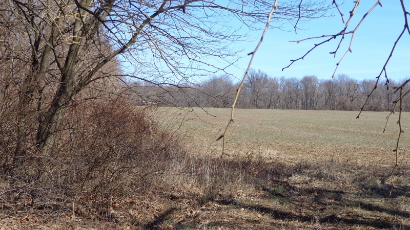 1170 Croton Rd, Flemington, NJ 08822 - photo 1