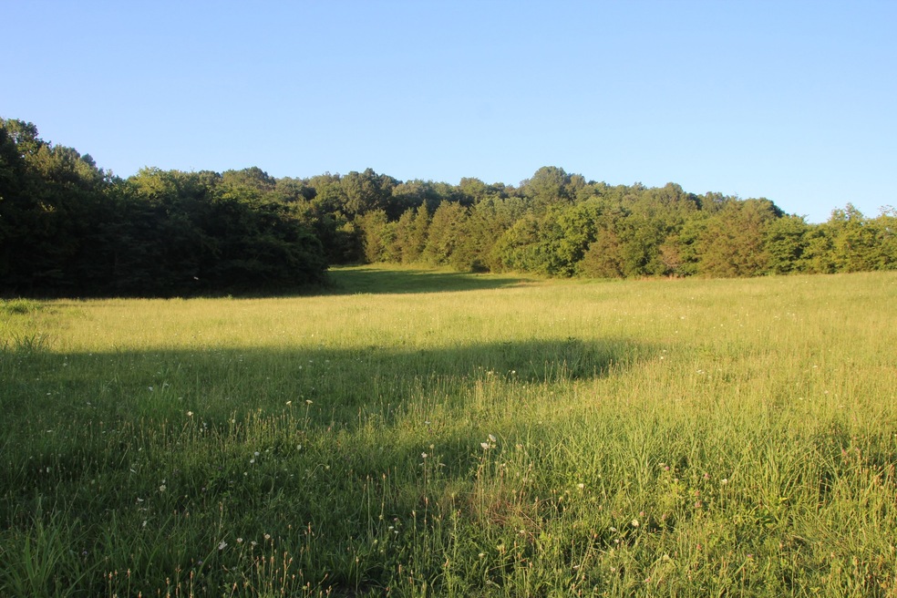 130E Highway 130, Shelbyville, TN 37160 - photo 1