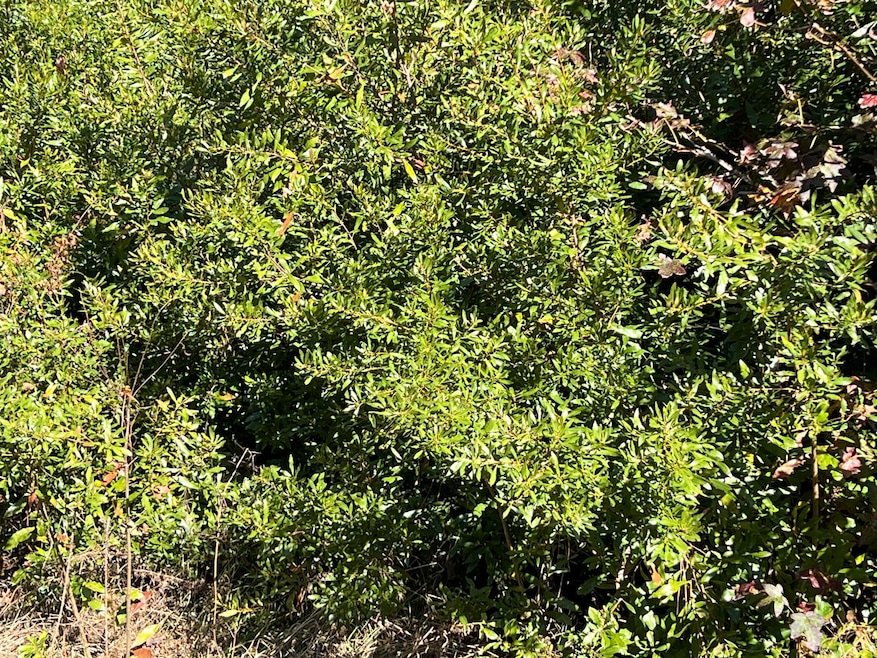 Under Contract $300,000