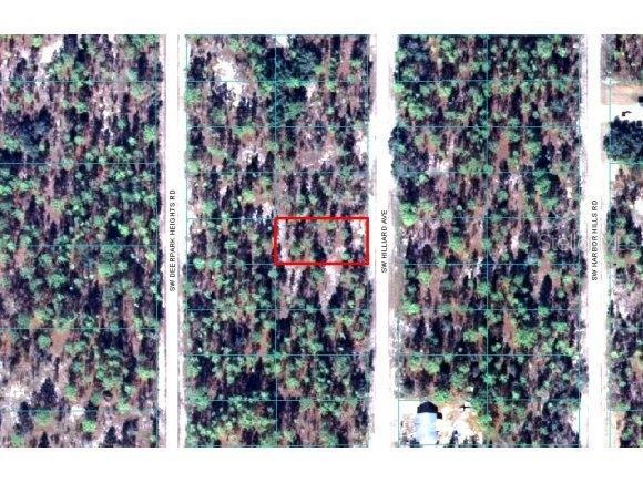 0 SW Hilliard Ave unit 384045, Dunnellon, FL 34431 - photo 1