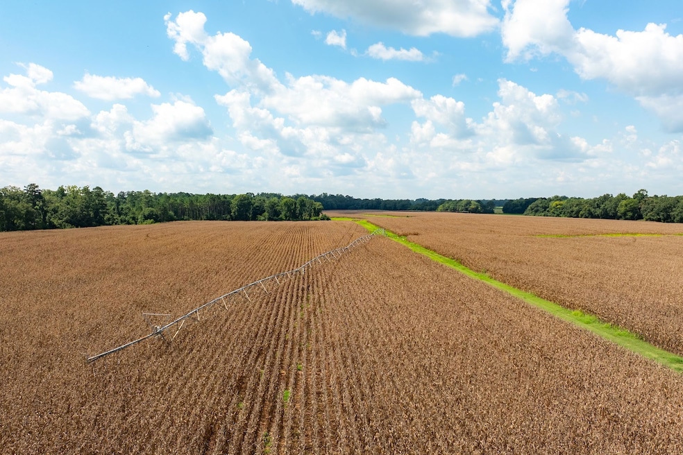 Home Place, Edison, GA 39846 - photo 1