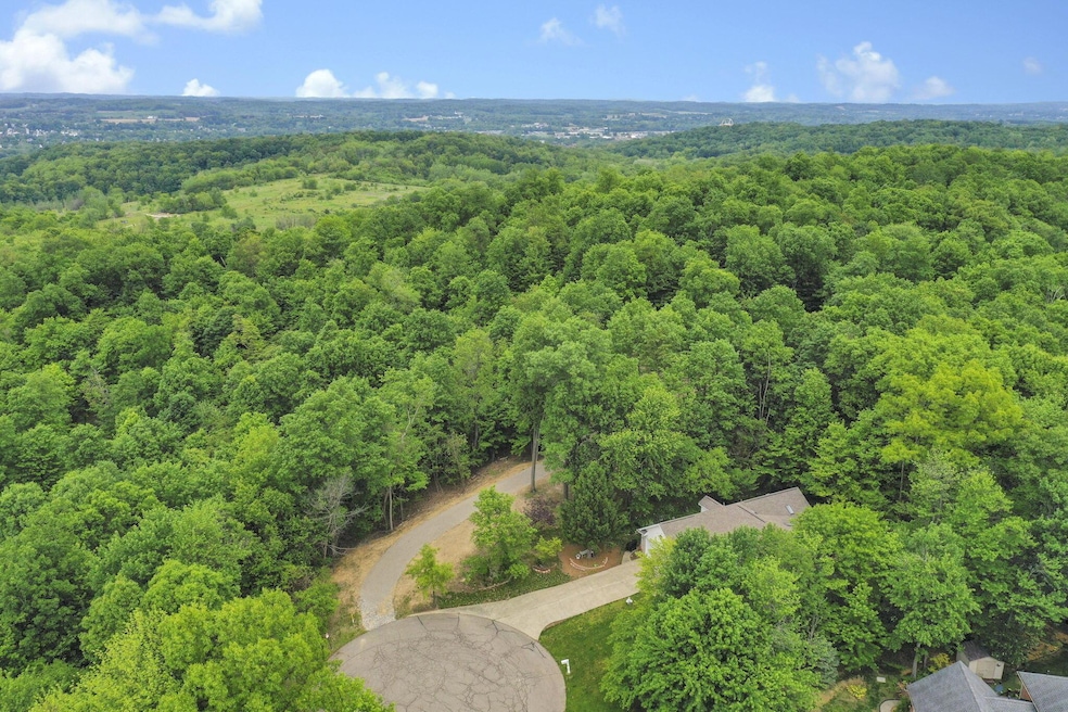 1-web-or-mls-DJI_0529