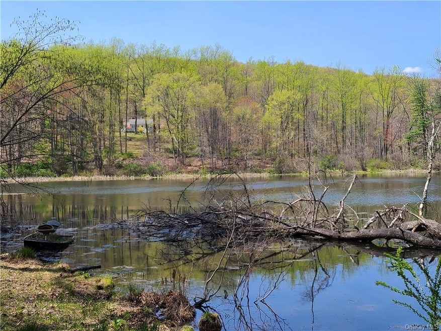 53 Mount Airy Rd E, Croton On Hudson, NY 10520 - photo 1