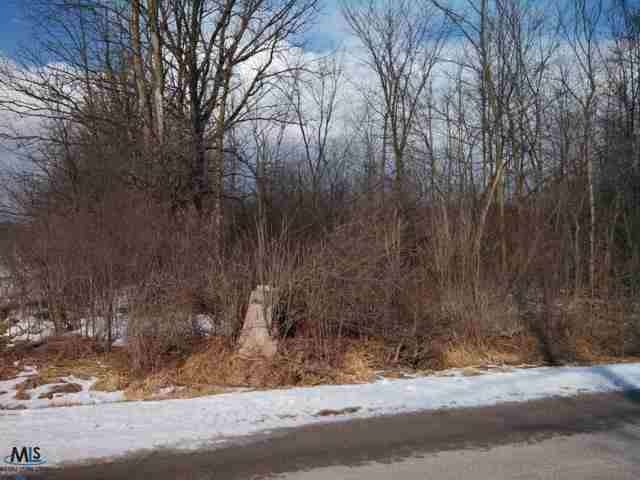 This is a view of the property.