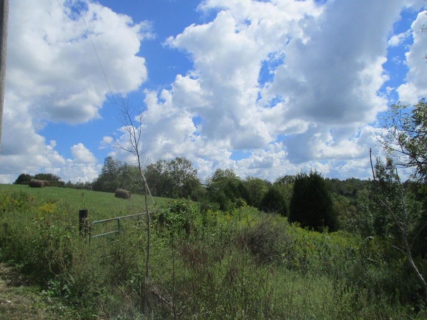 5060 Mason Ln, Mayslick, KY 41055 - photo 1