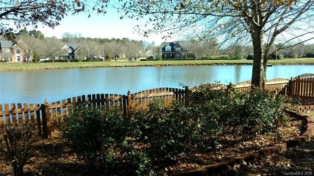 View from the Patio