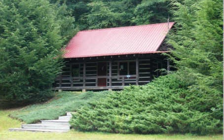Main View
