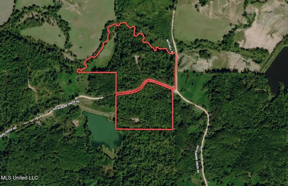 Property Outline