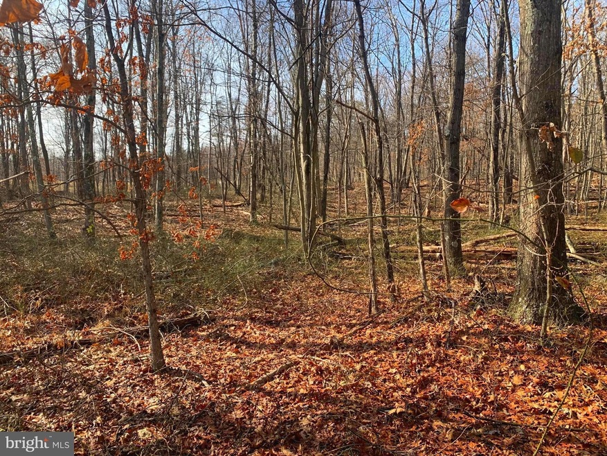 Lot 18 Sleepywoods Rd, Cross Junction, VA 22625 - photo 1