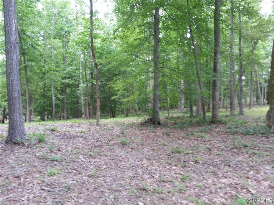 0 Old Roxbury Rd unit 1602601, New Kent, VA 23141 - photo 1