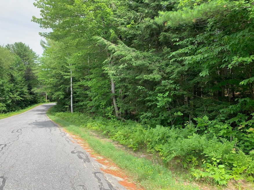 View from Pattee Pond Rd. Summer
