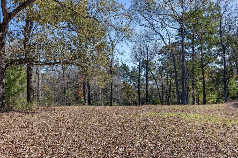 5901 Highline Dr, Montgomery, TX 77316 - photo 1