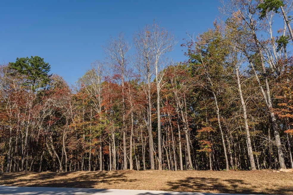 BlackCreek_10-24-2024_Lots_12