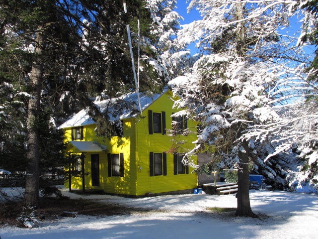 Main View