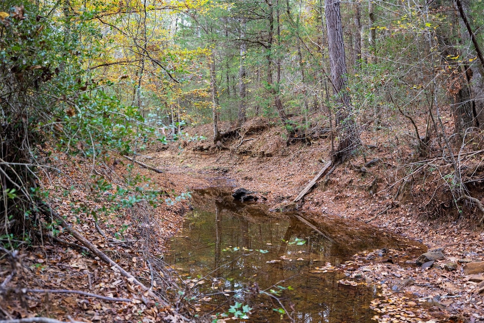 00 Farm To Market Road 228, Grapeland, TX 75844 - photo 1
