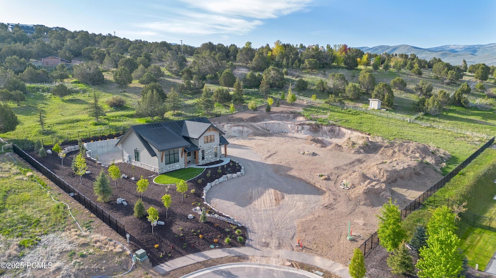 MLS BirdsEye2