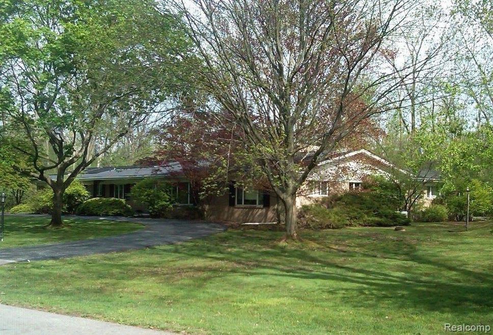 23616 Shagwood.jpg