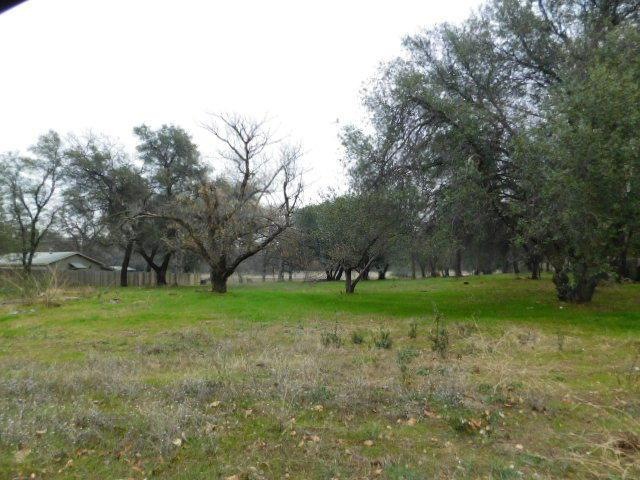 DSCN0175