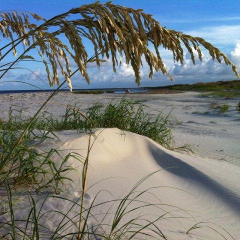 200 Salt Air Dr unit 111, St. Simons Island, GA 31522 - photo 1